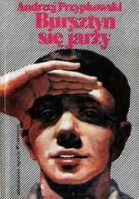 Bursztyn się jarzy - Andrzej Przypkowski