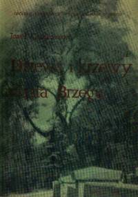 Drzewa i krzewy miasta Brzegu - Józef Czajkowski