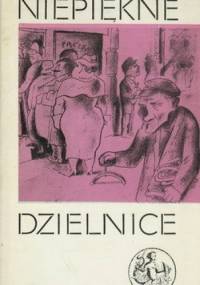 Niepiękne dzielnice - praca zbiorowa