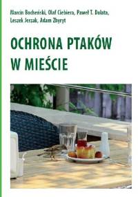 Ochrona Ptaków w mieście
