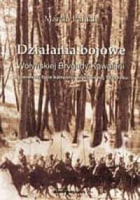 Działania bojowe Wołyńskiej Brygady Kawalerii - Marcin Paluch