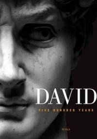 David: Five Hundred Years