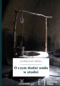 O czym dudni woda w studni - Joanna Papuzińska