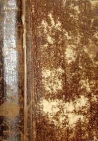 Nemolaka. Powieść słowiańska - Michał Czajkowski