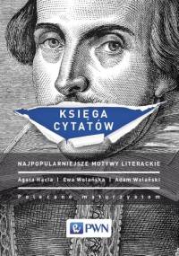 Księga cytatów. Najpopularniejsze motywy literackie