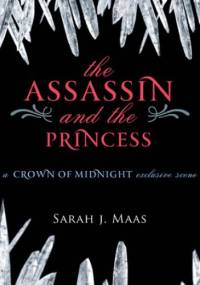 The Assassin and the Princess - Sarah J. Maas
