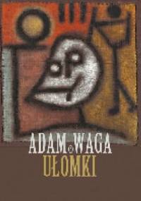Ułomki - Adam Waga
