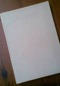 Wrocławski pomnik Henryka IV: Z dziejów pomników piastowskich na śląsku do polowy XIV wieku - Tadeusz Dobrzeniecki