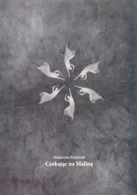 Czekając na Malinę - Małgorzata Południak