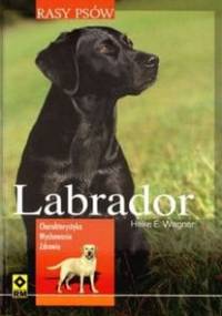 Labrador. Charakterystyka, wychowanie, zdrowie - Heike E. Wagner